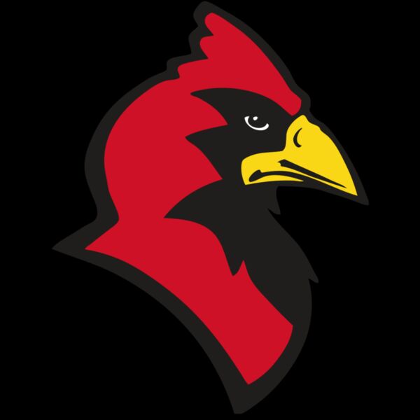 AR CARDINAL 20 RC Thumbnail