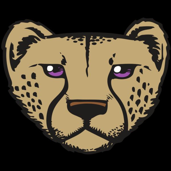 BAW CHEETAH 14 RC Thumbnail