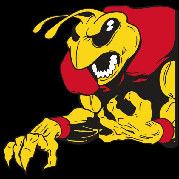 AR5 BEE 28 RQC Thumbnail