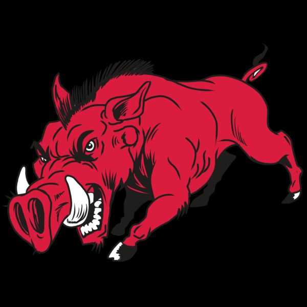 AR22 RAZORBACK 01 RQC Thumbnail