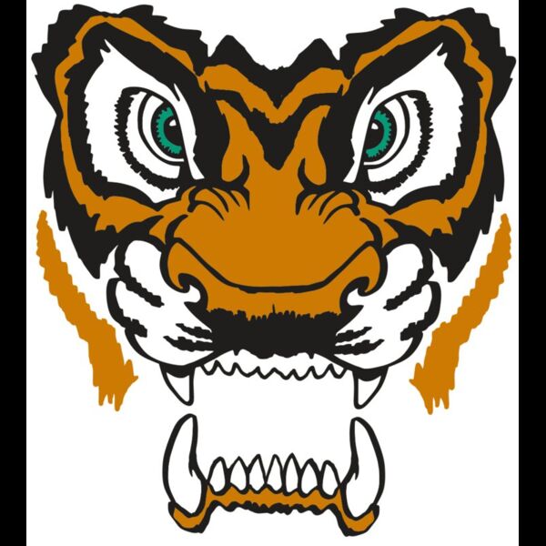 AR TIGER 11 RC Thumbnail