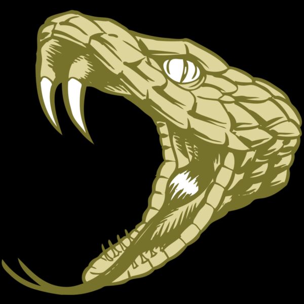 BAW SNAKE 11 RC Thumbnail